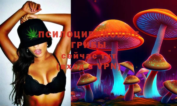 спиды Белокуриха