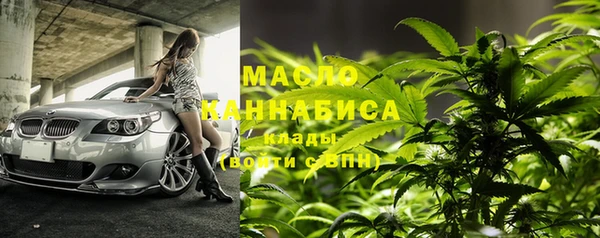 индика Россошь