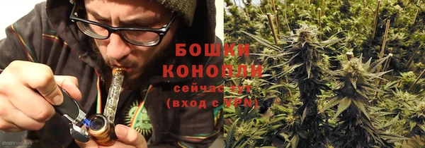 МДПВ Рославль