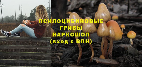спиды Белокуриха