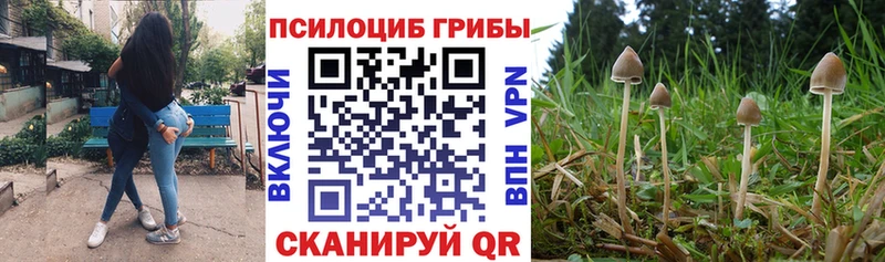 мориарти состав  hydra как зайти  Малоярославец  Галлюциногенные грибы мицелий 